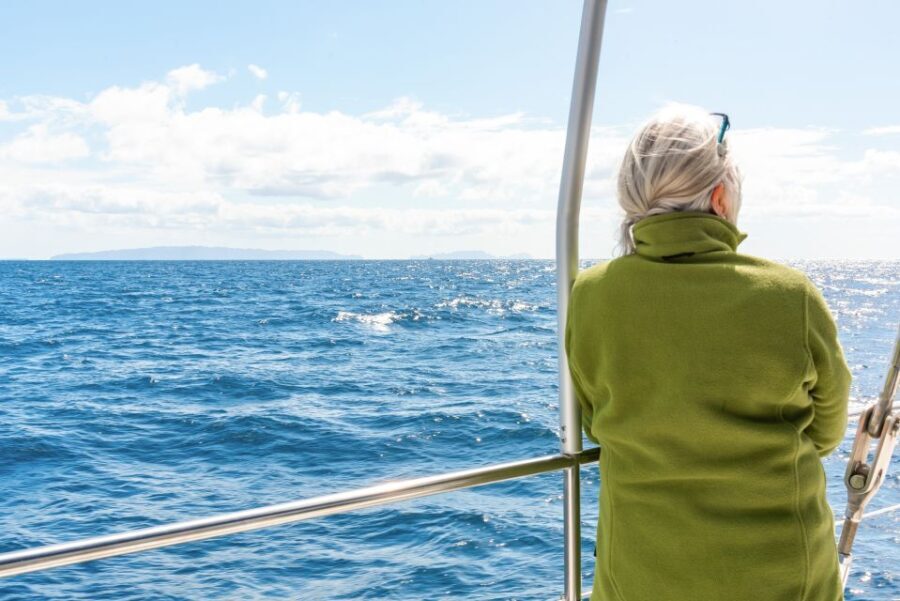 From Funchal: Madeira Dolphin and Whale Watching Tour - An In-Depth Review of the Madeira Dolphin and Whale Watching Experience