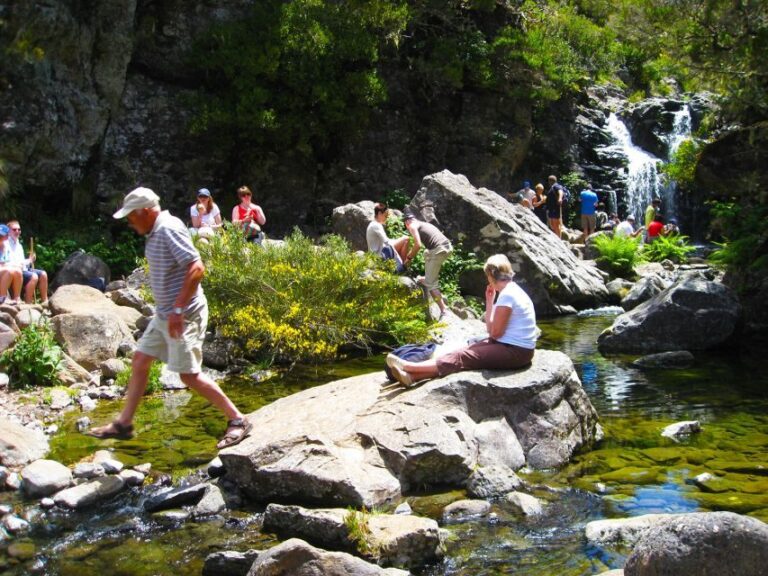 From Funchal: Madeira Lakes Levada Guided Hike - Authentic Experiences and Real Traveler Feedback