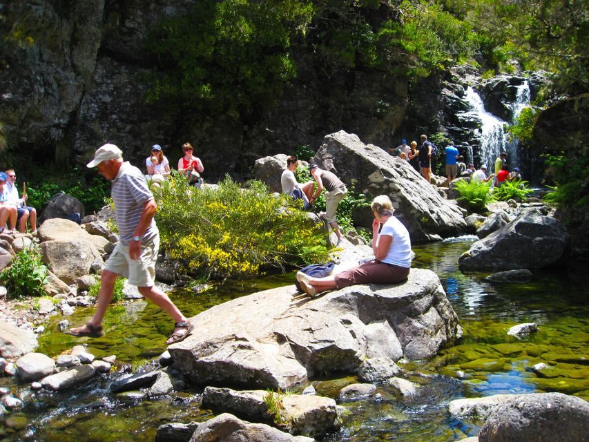 From Funchal: Madeira Lakes Levada Guided Hike - Authentic Experiences and Real Traveler Feedback