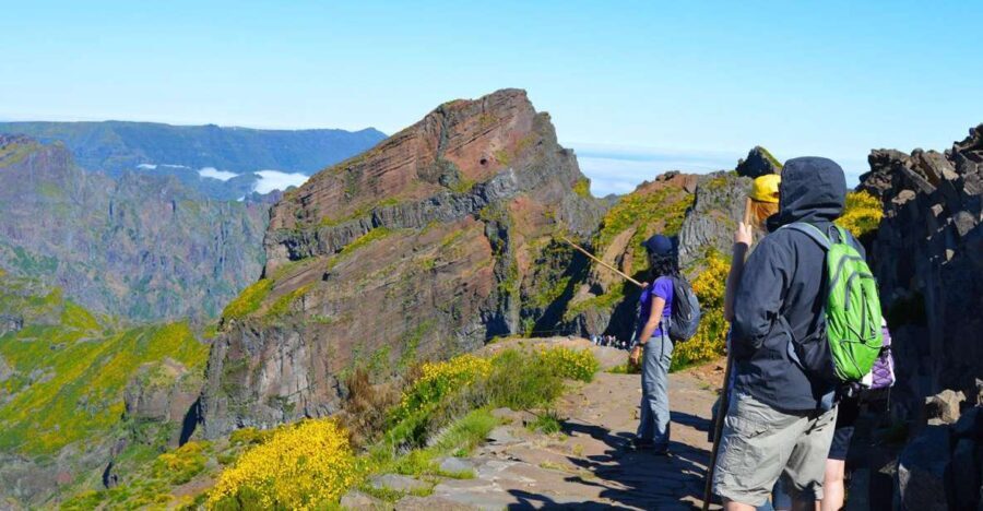 From Funchal: Madeira Peaks Mountain Walk - Why This Tour Offers Great Value