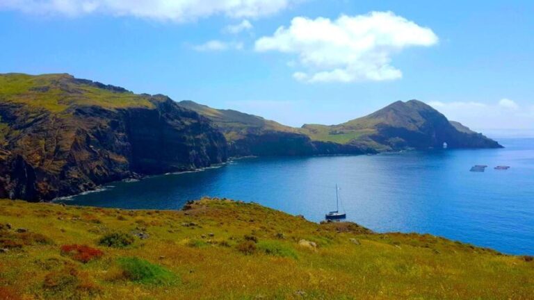 From Funchal: Ponta de São Lourenço/Caniçal Full-Day Hike - A Deep Dive into the Ponta de São Lourenço Experience