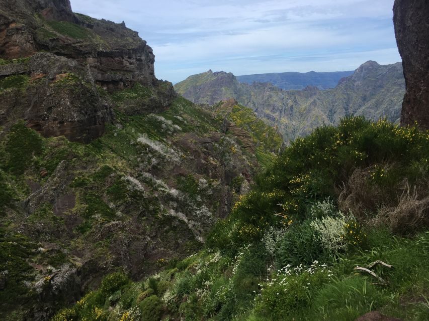 From Funchal: Santana and Pico do Areeiro East Island Tour - Why This Tour Offers Great Value