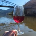 From Gaia Douro Valley Tour Wine Tasting River Cruise Lunch - Who Will Love This Tour?