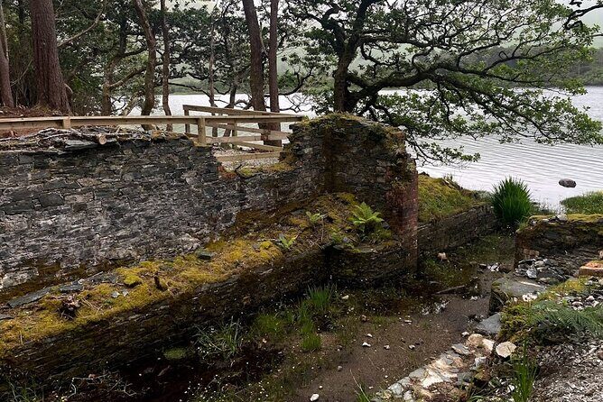 From Galway: Connemara, Kylemore Abbey & Castles 1 Day Tour - Who Will Love This Tour?