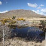 From Galway: Guided tour of Connemara with 3 hour stop in Kylemore Abbey - Practical Details: What You Need to Know