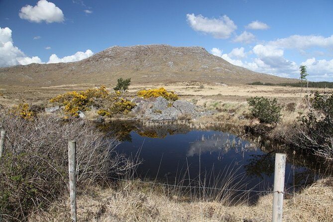 From Galway: Guided tour of Connemara with 3 hour stop in Kylemore Abbey - Practical Details: What You Need to Know
