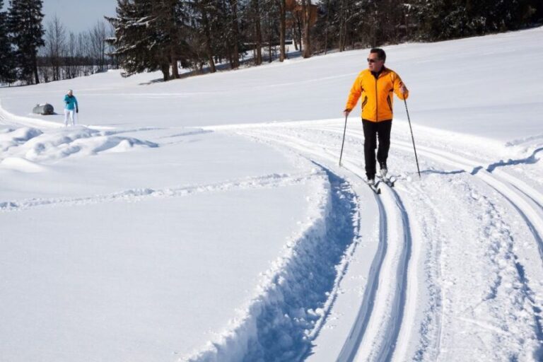 From Gardiner: Guided Yellowstone Cross-Country Skiing Tour - Why This Tour Is a Great Value