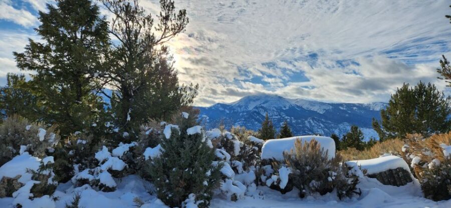 From Gardiner: Yellowstone National Park Snowshoe Tour - Final Thoughts
