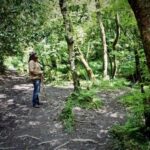 From Glastonbury: 2-Day Tintagel, Boscastle & Dartmoor Tour - The Value of This Experience