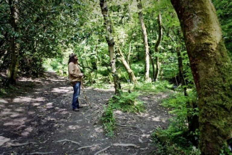 From Glastonbury: 2-Day Tintagel, Boscastle & Dartmoor Tour - The Value of This Experience