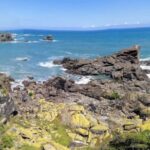 From Greymouth: Highlights West Coast Day Tour - Final Thoughts: Is It Worth It?