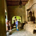 From Guadalajara: Pyramids & Jose Cuervo Tequila Tour - Who Is This Tour Best For?