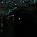From Hamilton: Waitomo Glowworm & Cave Explorer Small Group Tour - What Makes This Tour Stand Out?
