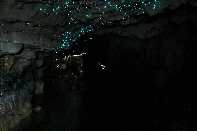From Hamilton: Waitomo Glowworm & Cave Explorer Small Group Tour - What Makes This Tour Stand Out?