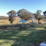 From Haymarket: Hunter Valley Wine and Wildlife Day Trip - Exploring the Hunter Valley Day Trip from Haymarket