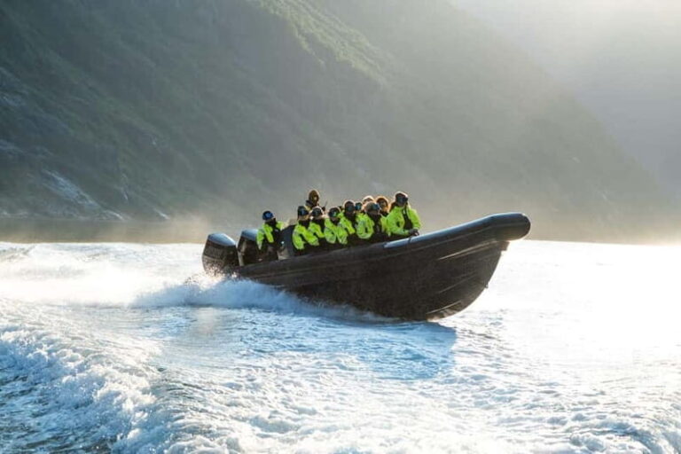 From Hellesylt: Experience Fjordsafari Geirangerfjord on RIB - Who Should Book This Tour?