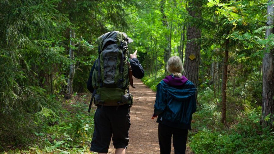From Helsinki: Berry Picking Day Trip in a National Park - Discovering Finland’s Forests and Flavors