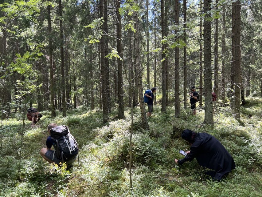 From Helsinki: Hike and Sauna in Sipoonkorpi National Park - An In-Depth Look at the Experience