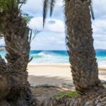 From Heraklion: Palm Forest Beach of Vai, Toplou & Sitia - The Value of This Tour