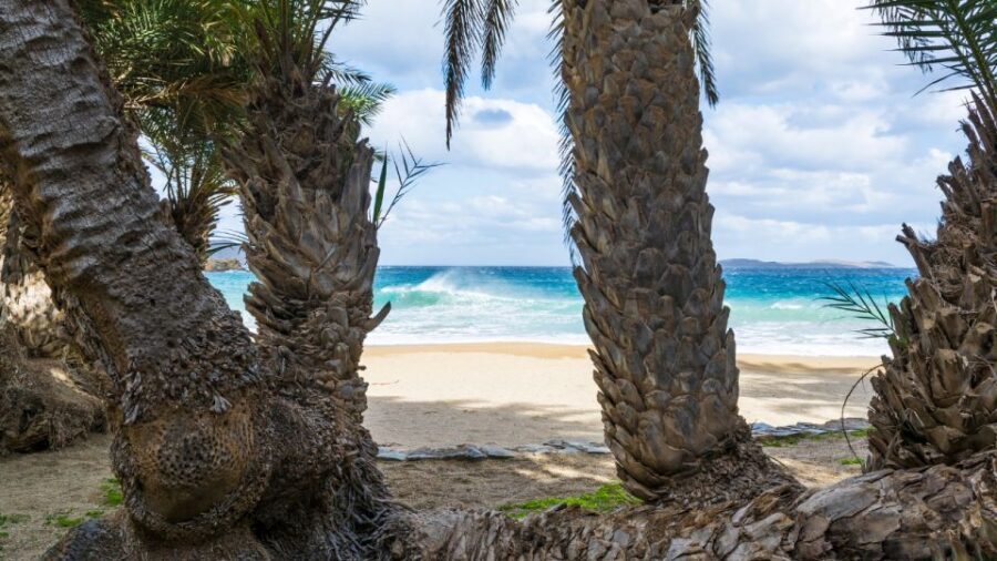 From Heraklion: Palm Forest Beach of Vai, Toplou & Sitia - The Value of This Tour