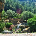 From Heraklion: Samaria Gorge & Agia Roumeli Hiking Day Trip - The Experience Provider: Cretan Odyssey