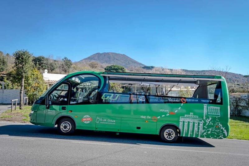 From Herculaneum : Panoramic Open tour Destination Vesuvio - A Detailed Look at the Vesuvius Panoramic Tour