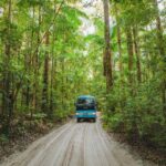 From Hervey Bay: K'gari, Fraser Island Two-Day Coach Tour - A Deep Dive into the Fraser Island Experience