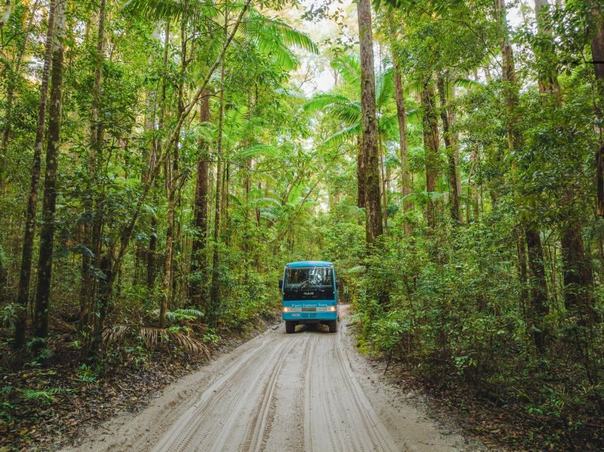 From Hervey Bay: K'gari, Fraser Island Two-Day Coach Tour - A Deep Dive into the Fraser Island Experience