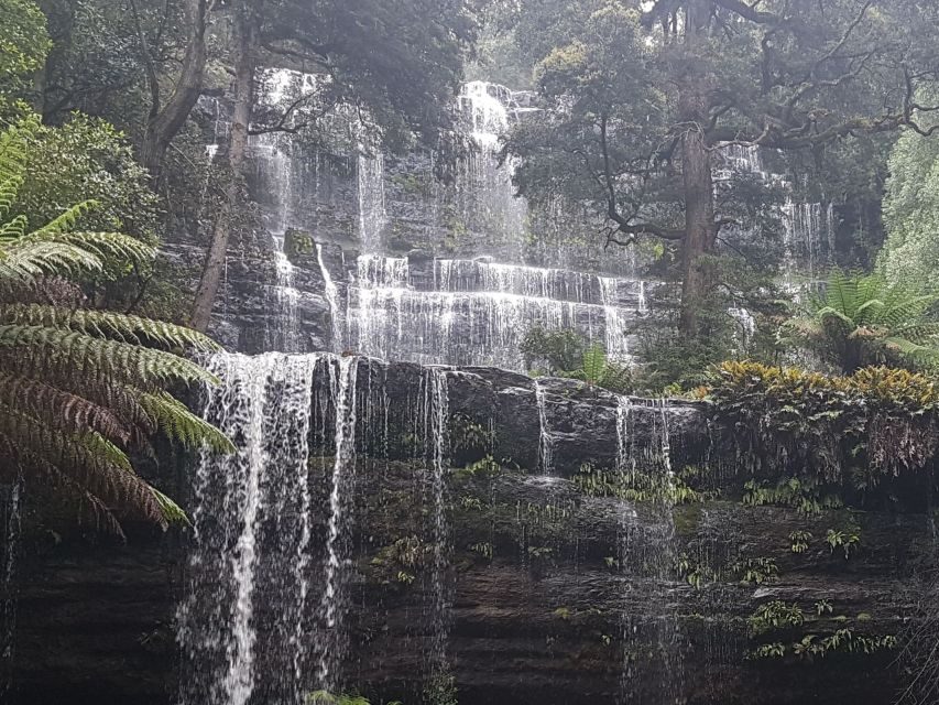 From Hobart: 2 Day Cradle Mountain Tour - Exploring Tasmania’s Wilderness in Depth