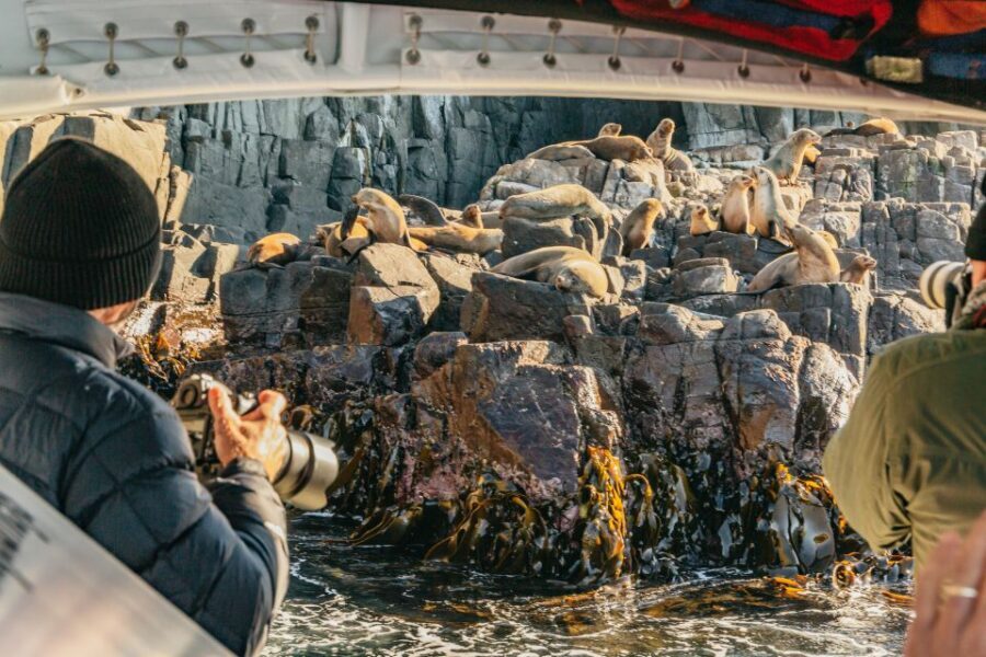 From Hobart/Adventure Bay: Bruny Island Wilderness Cruise - Who Will Enjoy This Tour?