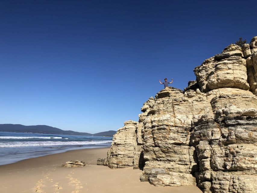 From Hobart: Bruny Island Nature & Produce Adventure Tour - An In-Depth Look at the Bruny Island Adventure