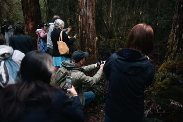 From Hobart: Full-Day Bruny Island Tour with Guide - Transport, Group Size, and Value