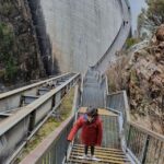 From Hobart: Gordon Dam and Lake Pedder Wilderness Day Tour - An In-Depth Look at the Experience