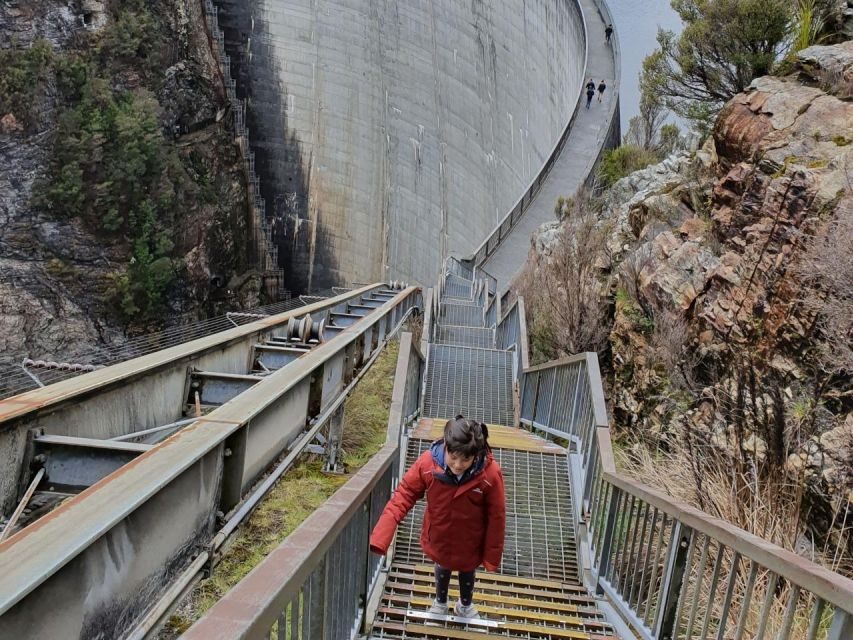 From Hobart: Gordon Dam and Lake Pedder Wilderness Day Tour - An In-Depth Look at the Experience