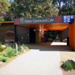 From Hobart: Mt. Field National Park and Russell Falls - What Makes This Tour Stand Out
