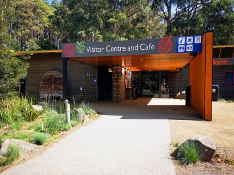 From Hobart: Mt. Field National Park and Russell Falls - What Makes This Tour Stand Out