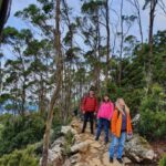 From Hobart: Mt Wellington Morning Walking Tour - Exploring the Tour in Detail