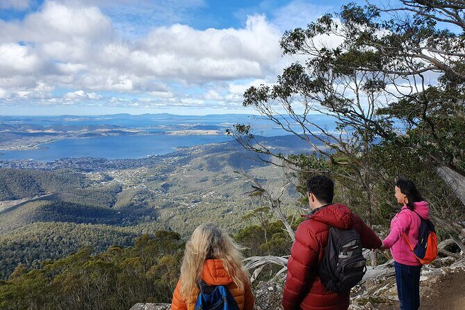 From Hobart: Mt Wellington Morning Walking Tour - Exploring the Itinerary in Detail