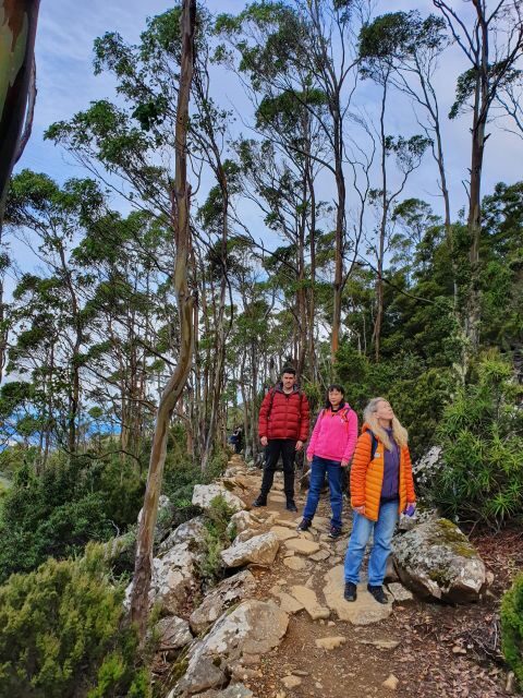 From Hobart: Mt Wellington Morning Walking Tour - Exploring the Tour in Detail