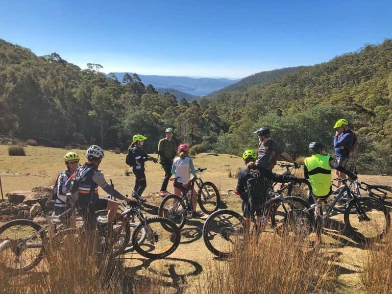 From Hobart: Mt Wellington Summit & Rainforest Bike Tour - Why This Tour Is Worth Considering