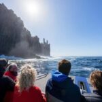 From Hobart: Port Arthur Cape Raoul Wilderness Cruise - Practical Details and Value