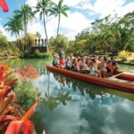 From Honolulu Harbor: Private Custom Tour on Oahu - A Deep Dive into the Oahu Private Tour Experience
