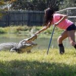 From Houston: Crocodile Encounter Entry Ticket - FAQ