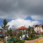 From Huatulco: 3 Levels, Coffee, Culture, and Nature Tour - What the Reviews Say
