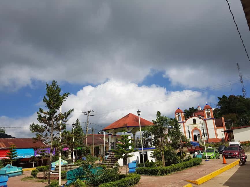 From Huatulco: 3 Levels, Coffee, Culture, and Nature Tour - What the Reviews Say