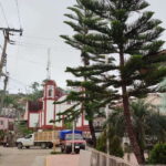 From Huatulco: Coffee Private Experience - Who Should Consider This Tour?