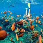 From Huatulco: Private 7 Bays Boat Tour - Final Thoughts