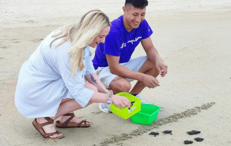 From Huatulco:Turtle Release and Bioluminescence Tour - Who Will Love This Tour?
