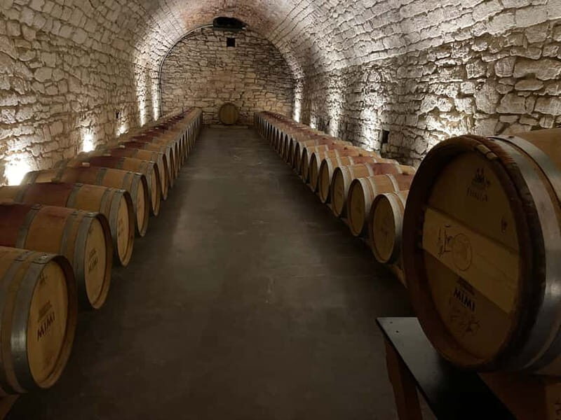 From Iai: Mimi Castle Wine Tasting Day Trip - A Detailed Look at the Experience