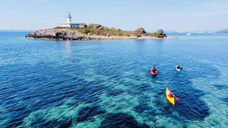 From Inmood Hotel Alcanada. Kayaking Guided Route Island - Who Should Consider This Tour?